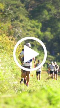 BIB:  <button type="button" onclick="openModal(26575054)" class="btn btn-primary btn-sm float-right" data-toggle="modal" data-target=".modal-high-quality">
                <i class="fa fa-download"></i> Download
                </button>